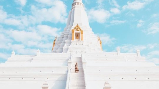 Hướng dẫn đi tham quan Wat Phu Khao Thong ở Ayutthaya Thái Lan